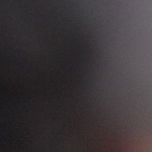 Meet your Posher, Abigail